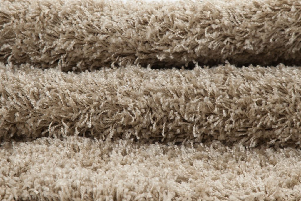 Shaggy Soft Plush Durable Made in Europe Indoor Area Rug Carpet in Beige, 5x8