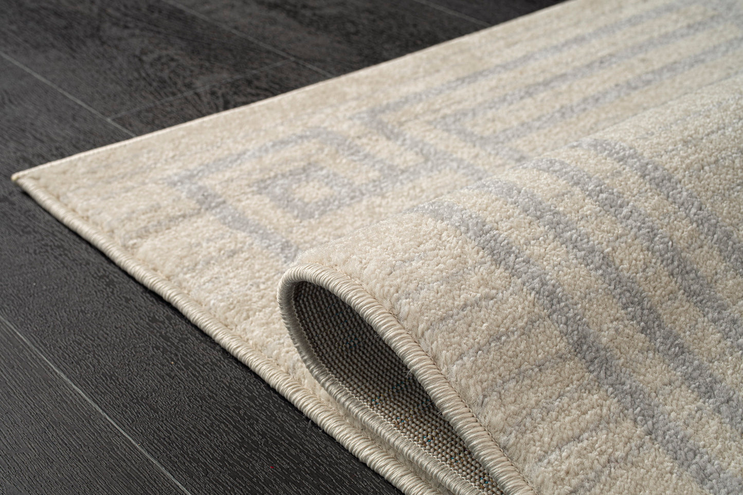 Modern Ivory Grey Bordered Area rug