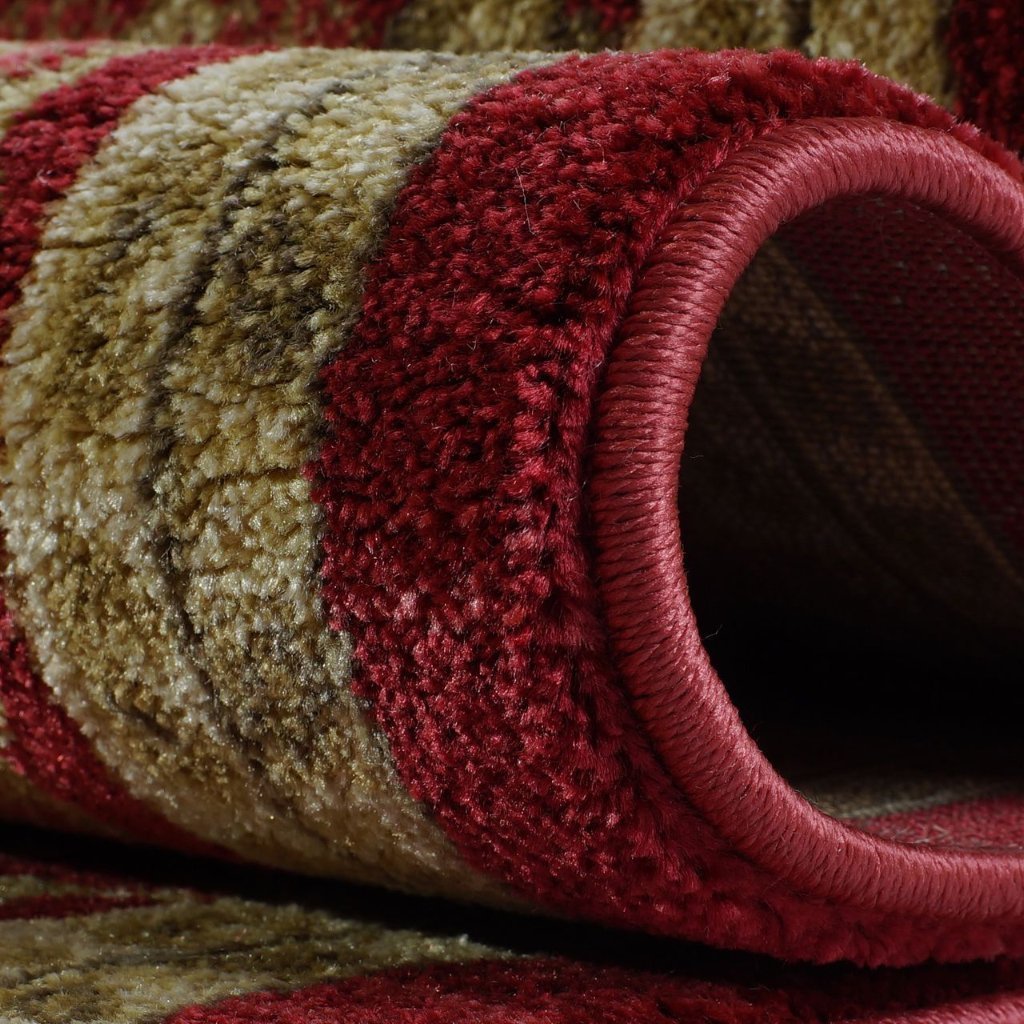 Terra Cherry Red Traditional Area Rug -