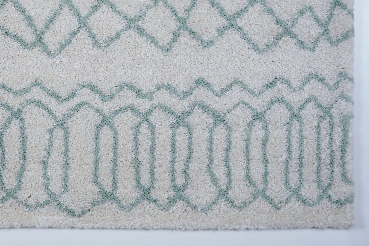 Shaggy Ivory Aqua Vancouver Area Rug -
