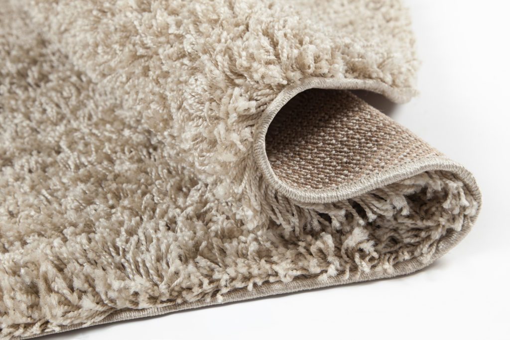 Shaggy Soft Plush Durable Made in Europe Indoor Area Rug Carpet in Beige, 5x8