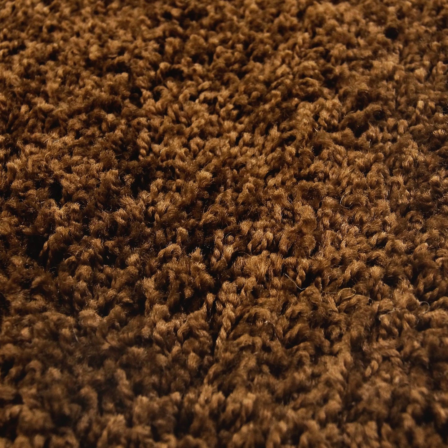 Shaggy Light Mocha Brown Area Rug -