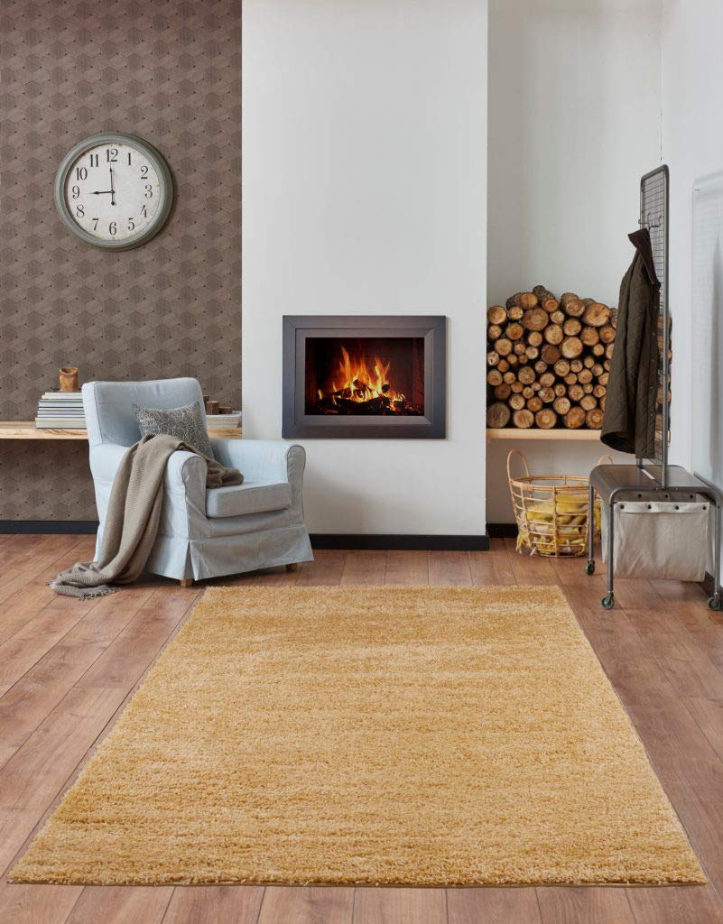Candy Shaggy Orange Area Rug