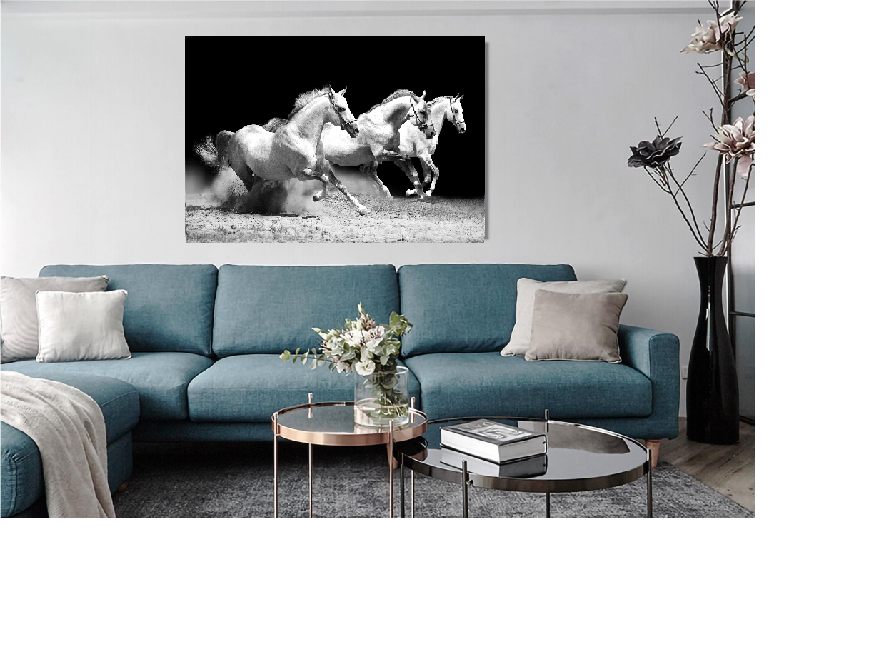 Ladole Rugs Canvas Wall Art Black and White Three Running Horse on the Field -30x40 cm Abstract Painting Pictures Print for Home Decoration